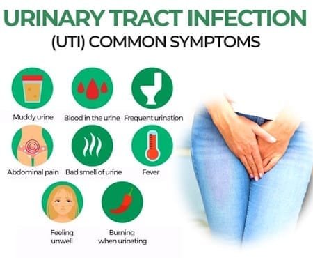 Urinary Tract Infection (UTI), Causes, Symptoms, Types and Treatment ...