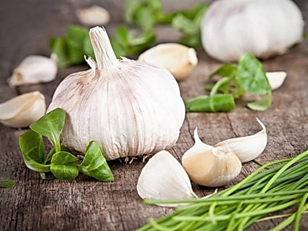 Twenty Surprising Garlic Benefits That Can Improve Your Life Doctor Zara