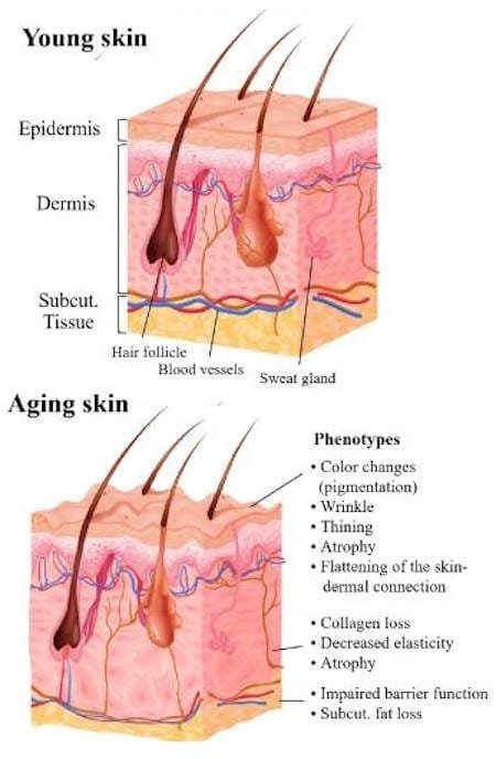 radio frequency skin tightening skin tightening treatments renuvion skin tightening laser skin tightening fibroblast skin tightening