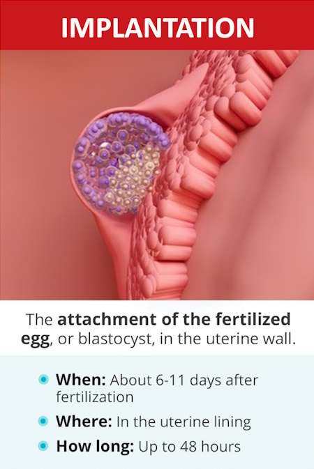how do you get pregnant - implantation date
