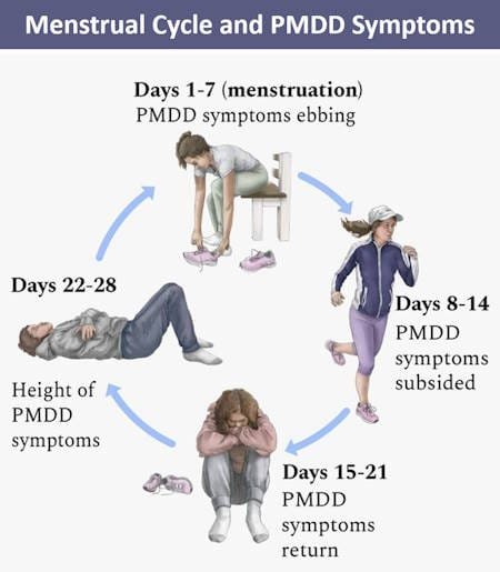 When does PMDD Symptoms start and end Menstrual cycle Periods days